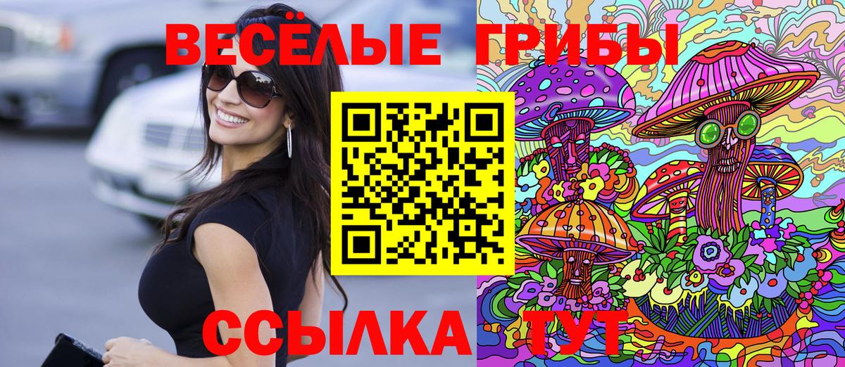Псилоцибиновые грибы Cubensis  сколько стоит  Нижневартовск  Вход с VPN 